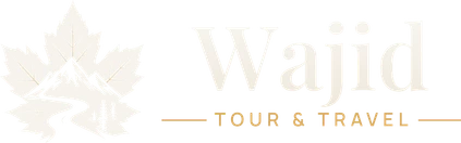Wajid Tour & Travel