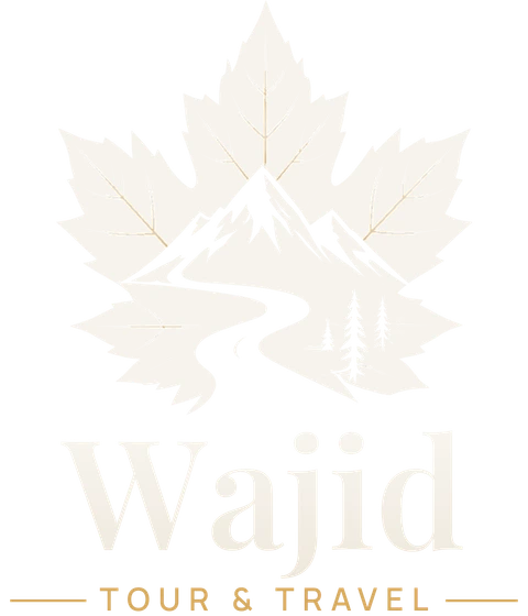 Wajid Tour & Travel