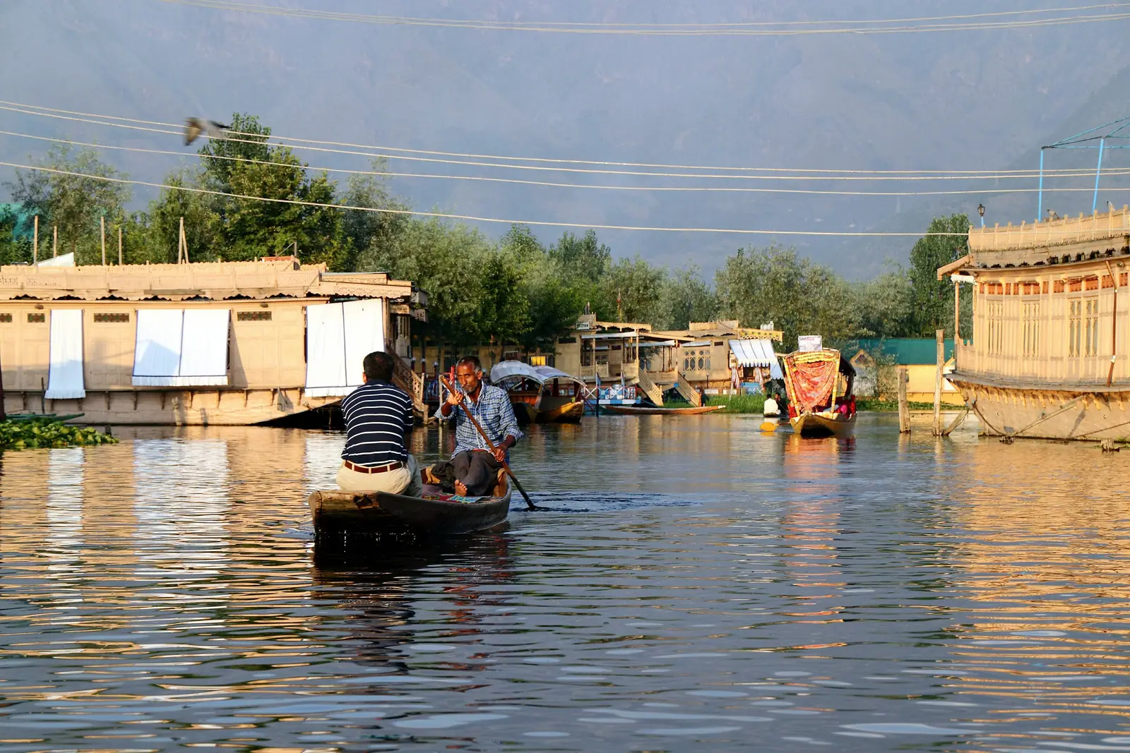 Shikaras and houseboats on Dal Lake in warm evening light