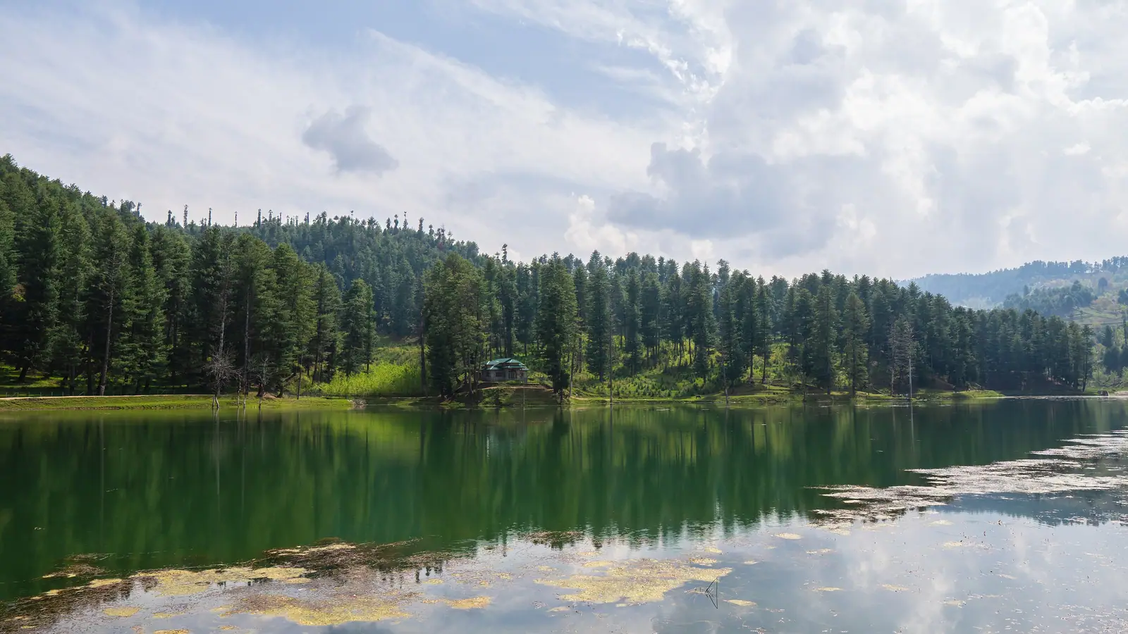 Pine forest reflected in the still water of Nilnag Lake near Yusmarg