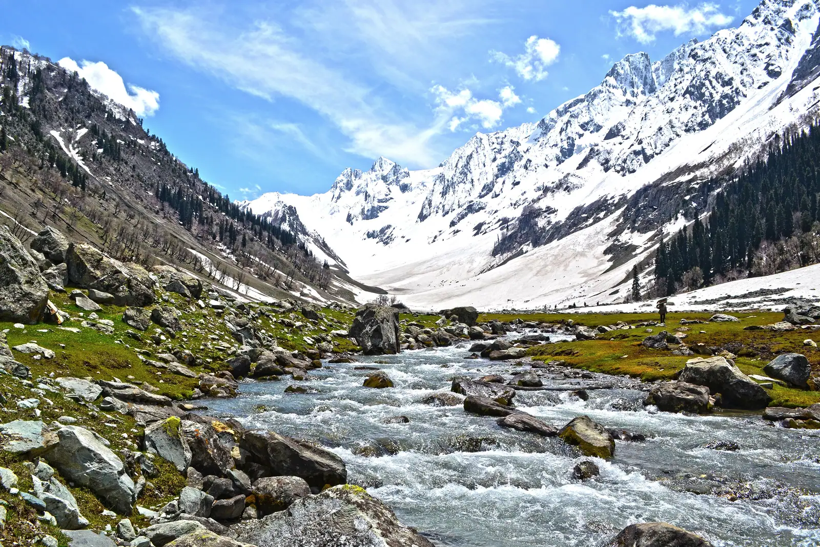A mountain stream flowing toward snow-capped peaks in Sonamarg